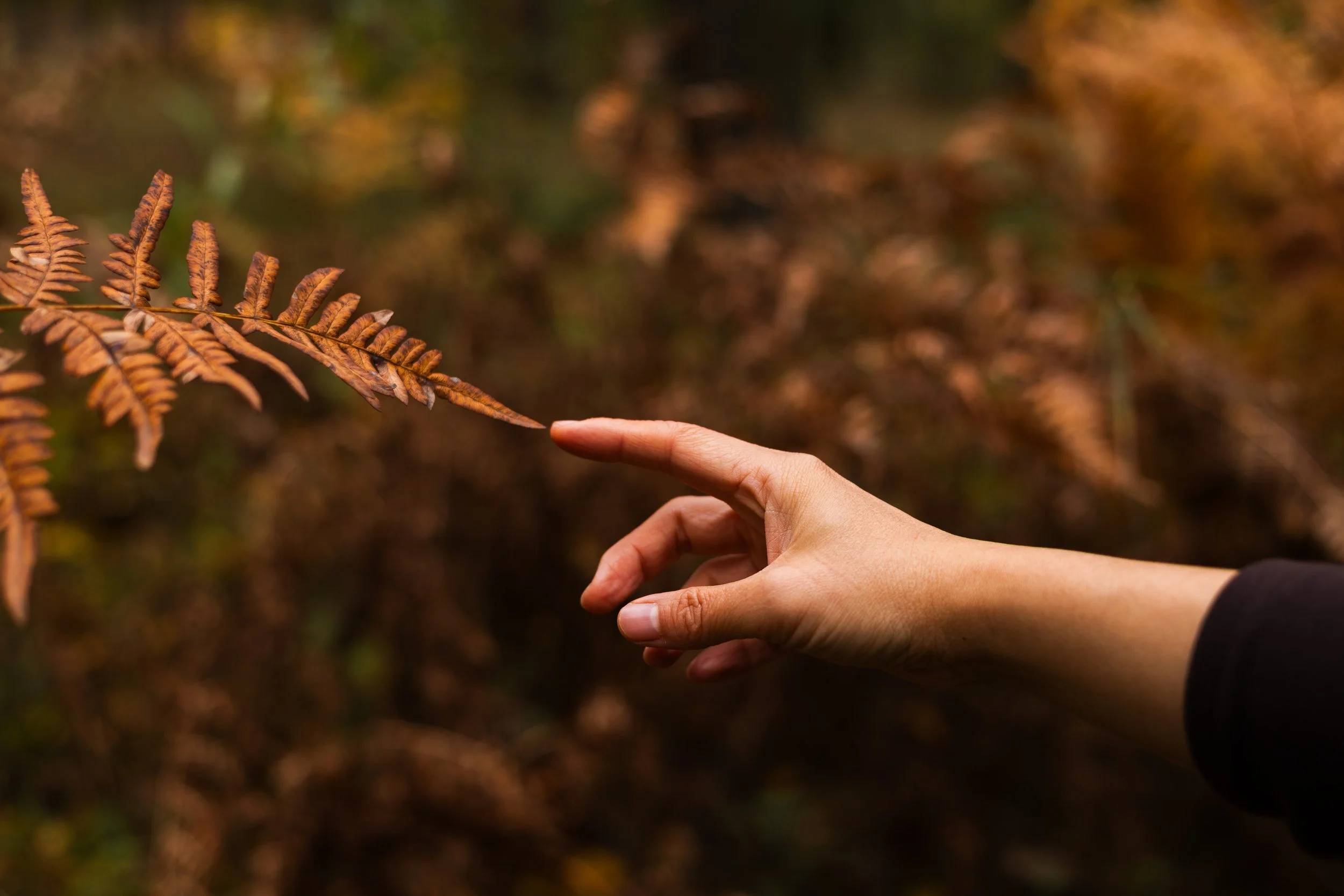 Conexión con la naturaleza